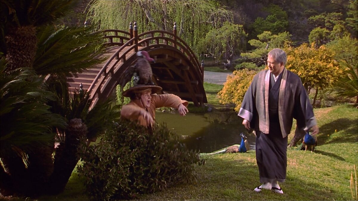 "Ниндзя из Беверли Хиллз". Тренировка с сенсеем в прятки ...