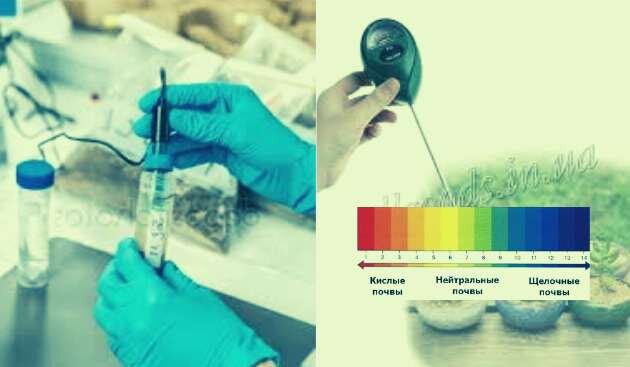 Определение кислотности почвы в лаборатории и измерителем Ph грунта