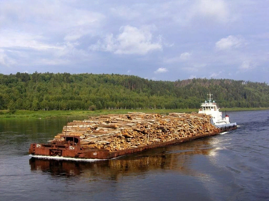 Сплав бревен по реке