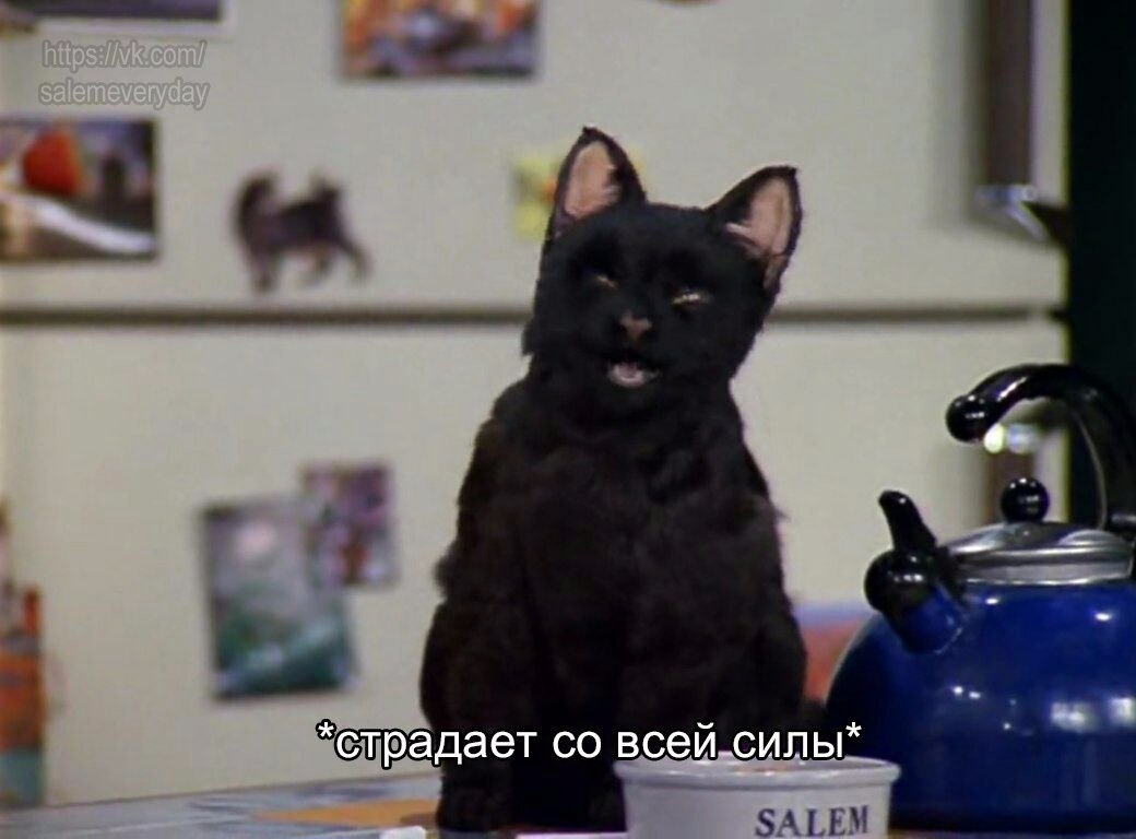 состояние от месяца изоляции