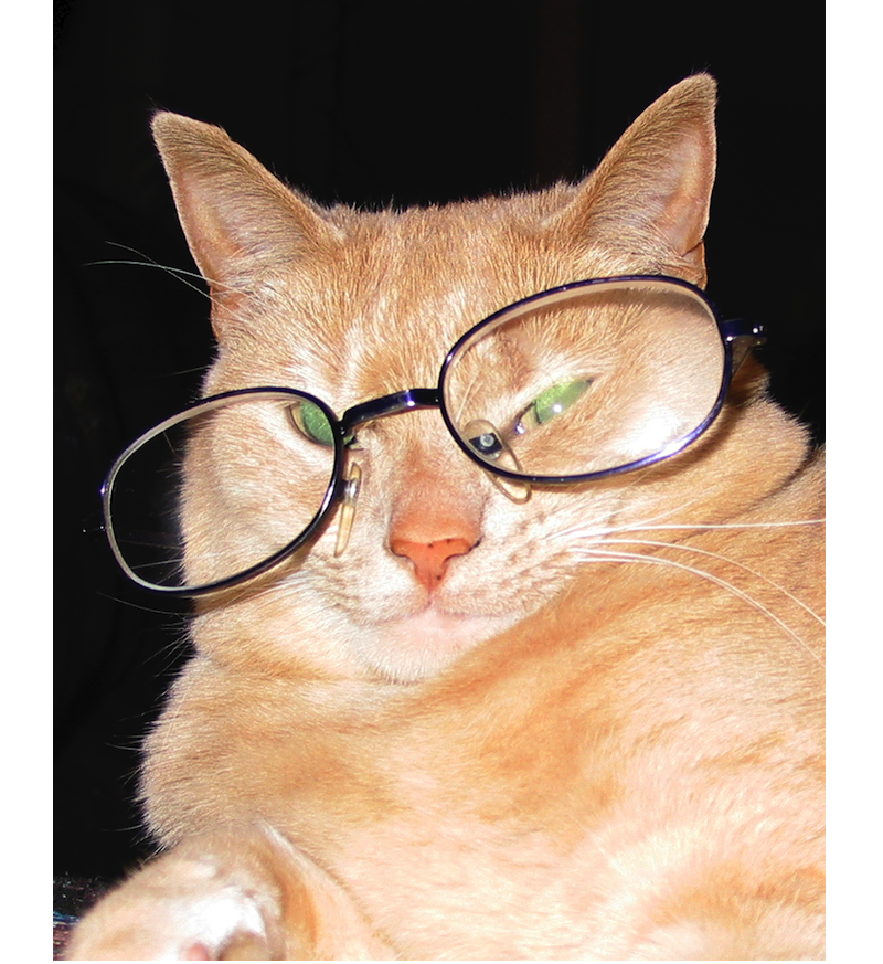 Фото Robin Hindle