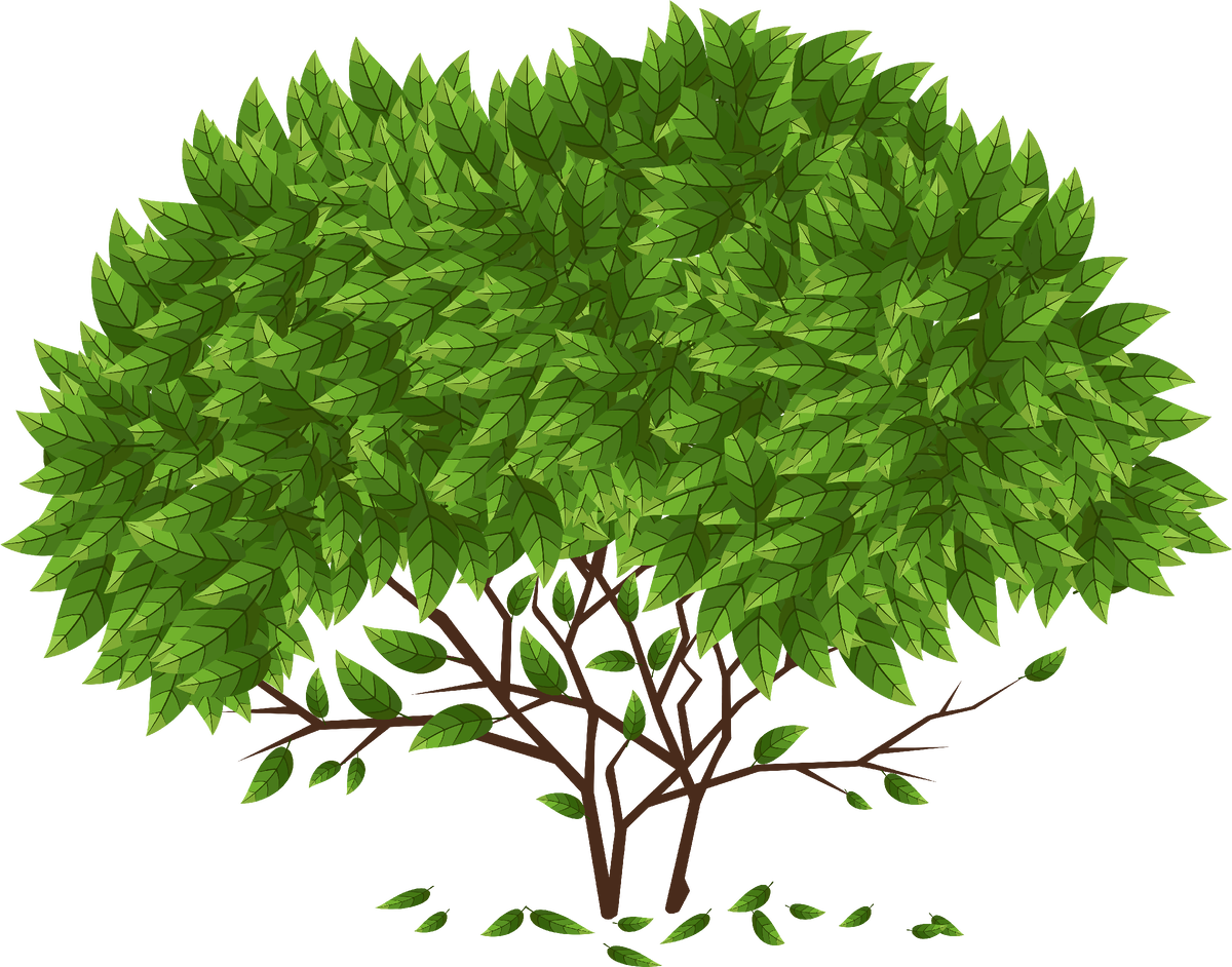 Куст, именно так и переводит своё творение (реестр) корпорация Microsoft.