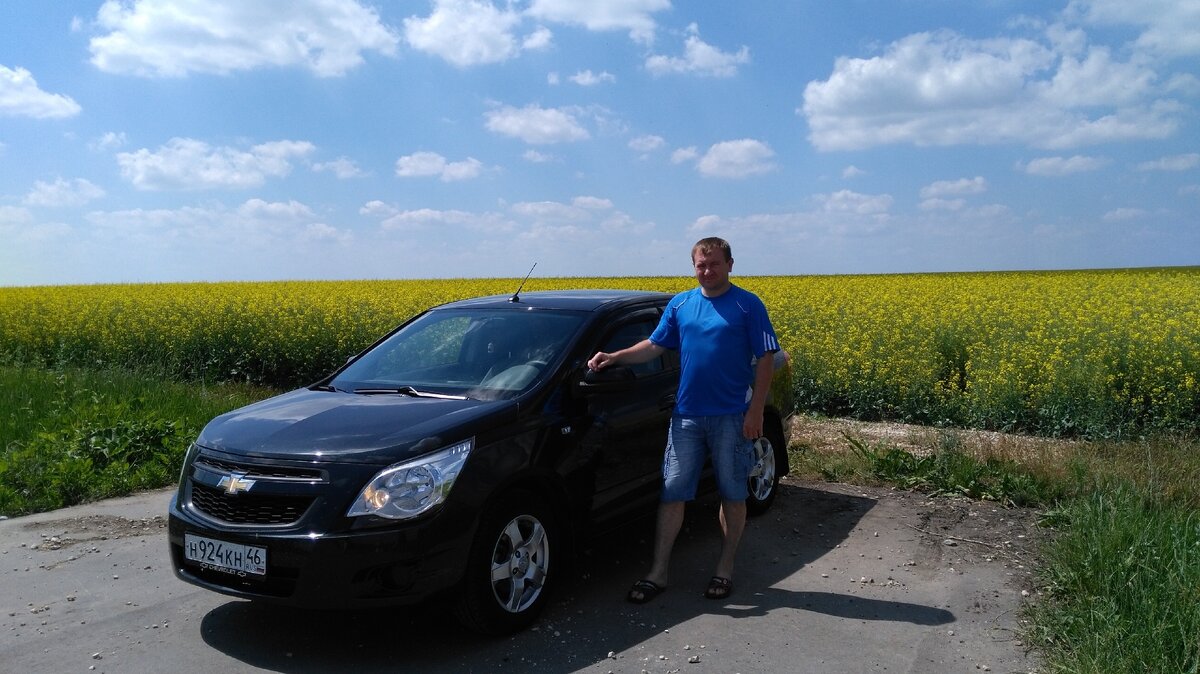 Египетский танк рамзес. Три 54. Amx m4 mle. Три 54. Три 54.