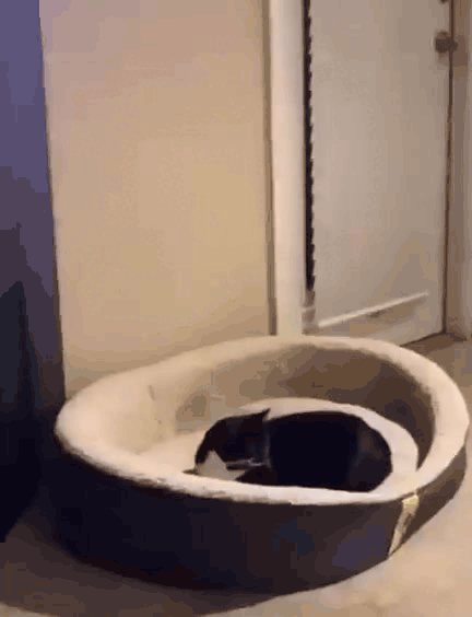 Нажми на картинку, чтобы посмотреть видео. Источник: Ютуб.