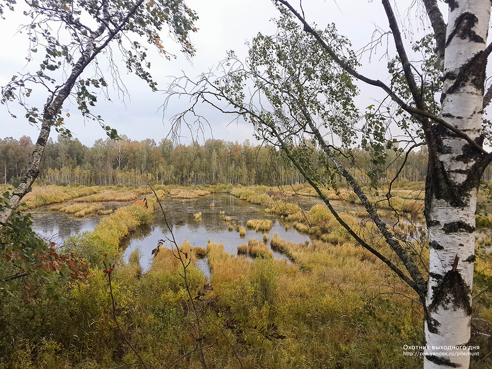 Синявинские карьеры.