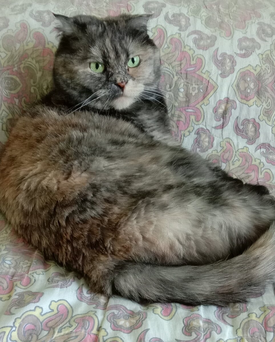 Фото автора