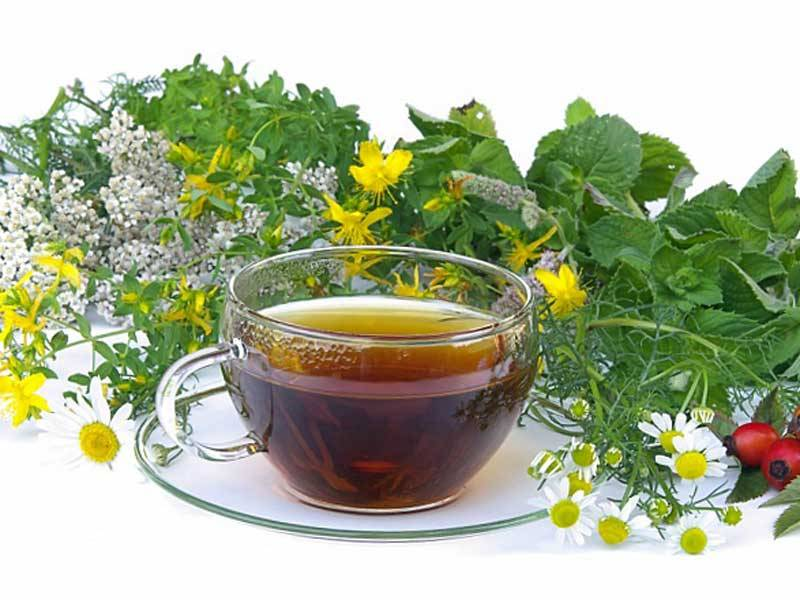 https://stop-allergies.ru/images/cheredapriberemennosti5poleznixsvoystv_8F16B5A6.jpg