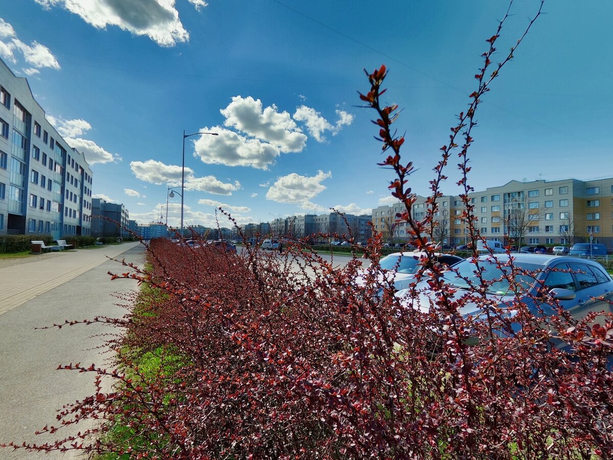 Тишина! Нет шума, нет пыли! 