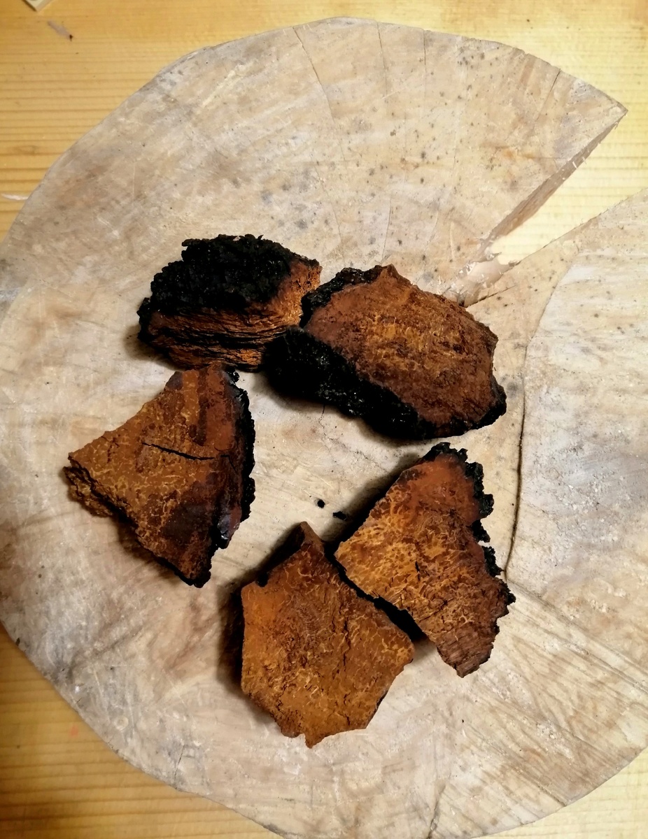 Вот результат. Это один небольшой берёзовый гриб. Высушенный.