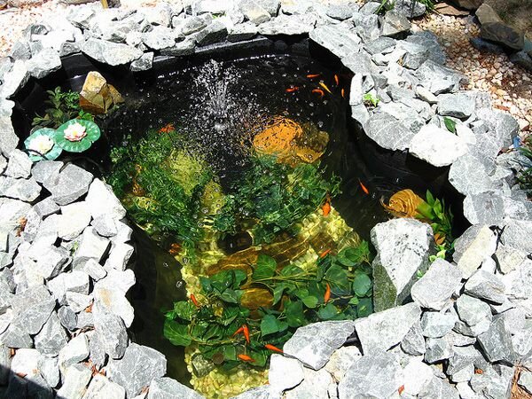 Пруд на даче своими руками