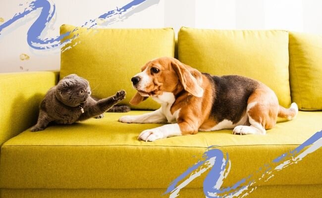 Oksana Shufrych / Canva.com