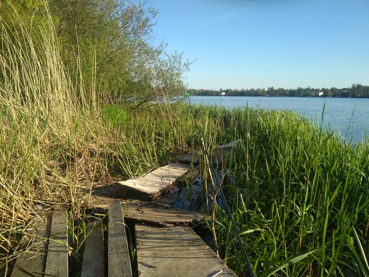 Колокольчик нередко помогает не пропустить поклевку