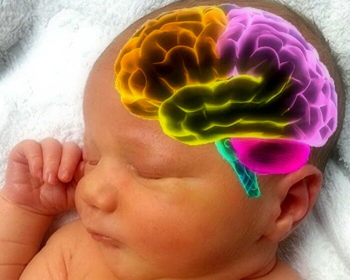 Мозг ребенка. Головной мозг новорожденного. Перинатальное поражение центральной нервной системы.