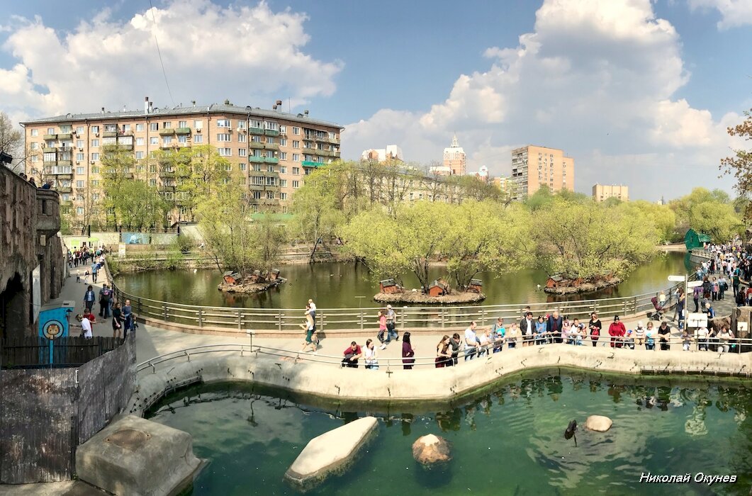 1. Первым делом после перехода на Новую территорию взору гостей зоопарка предстаёт Малый Пресненский пруд с островками, поросшими диким кустарником с гнездовьями водоплавающих.