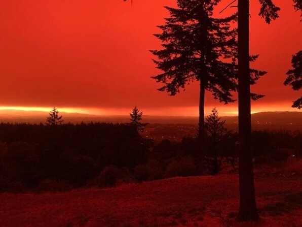 Фотография взята с инстаграм аккаунта @wanderingamber