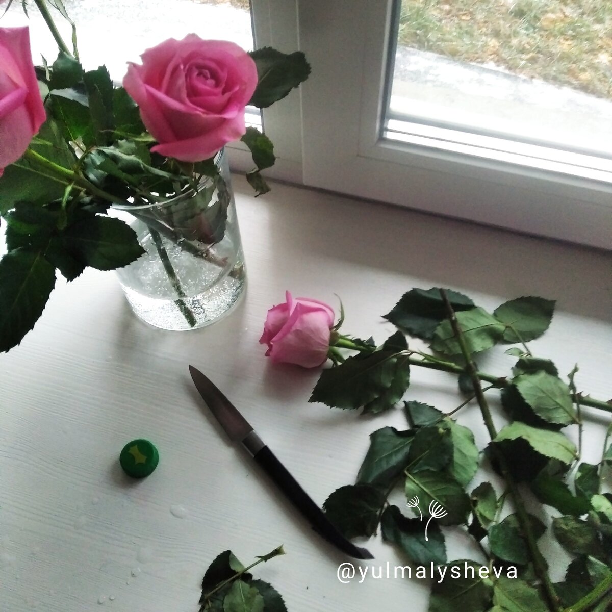 Нарастал у срезанных роз в вазе. Как дольше сохранить розы в вазе. Как сохранить букет роз в вазе дольше домашних условиях.