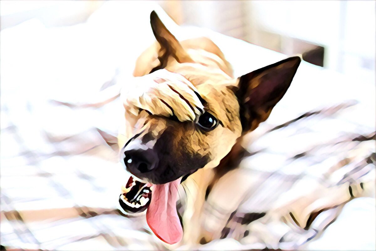Фото из фотобанка