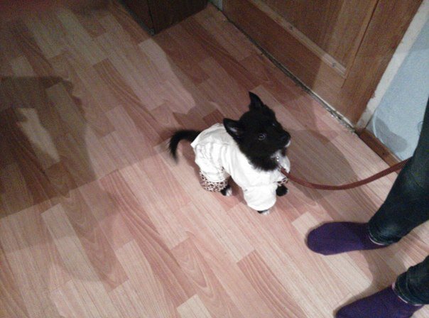 2. Первые дни дома.