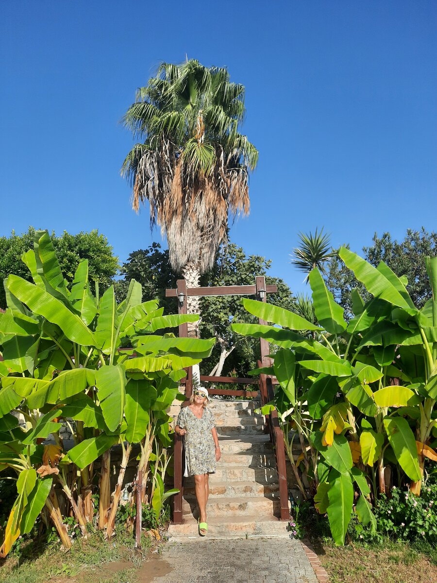 Фото автора. 