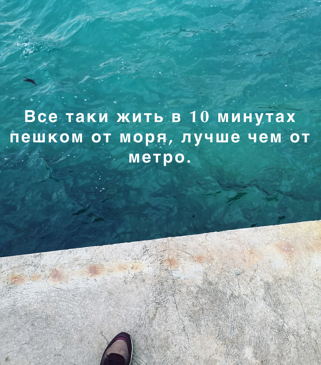 в 15 у море