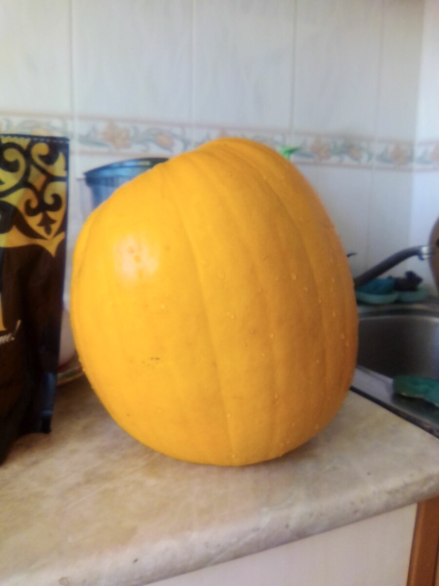 фото из моего альбома