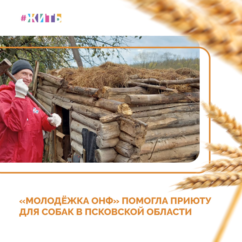 Команда «Молодёжки ОНФ» из Псковской области помогла четвероногим друзьям из приюта для собак «Веретье»🐶

Ребята уже в четвертый раз выезжают в одноименную деревню недалеко от Великих Лук, которая стала домом для животных, оставшихся на улице🐾

Команда привезла с собой 15 килограммов корма и столько же пачек крупы, из которой собакам сварят кашу. Также ребята помогли разобрать и убрать с территории приюта старый сарай, доски и мусор. Обустроили и уголок для персонала - принесли диван, столы и стулья☝️☺️

Ребята просто молодцы! Так держать! 

Поддержим этих замечательных людей все вместе🙌

#жить #проектжить