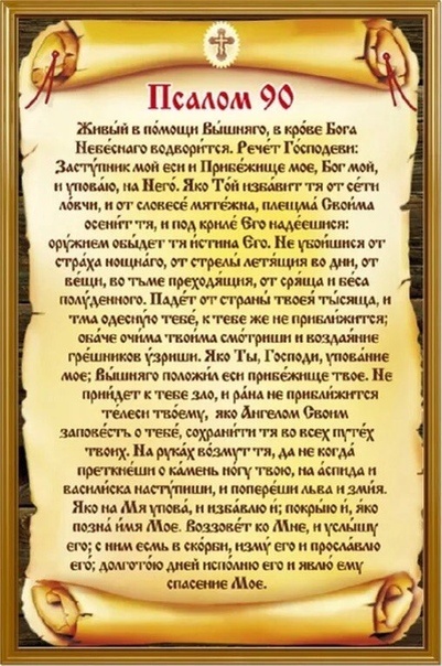 фото из яндекс картинок