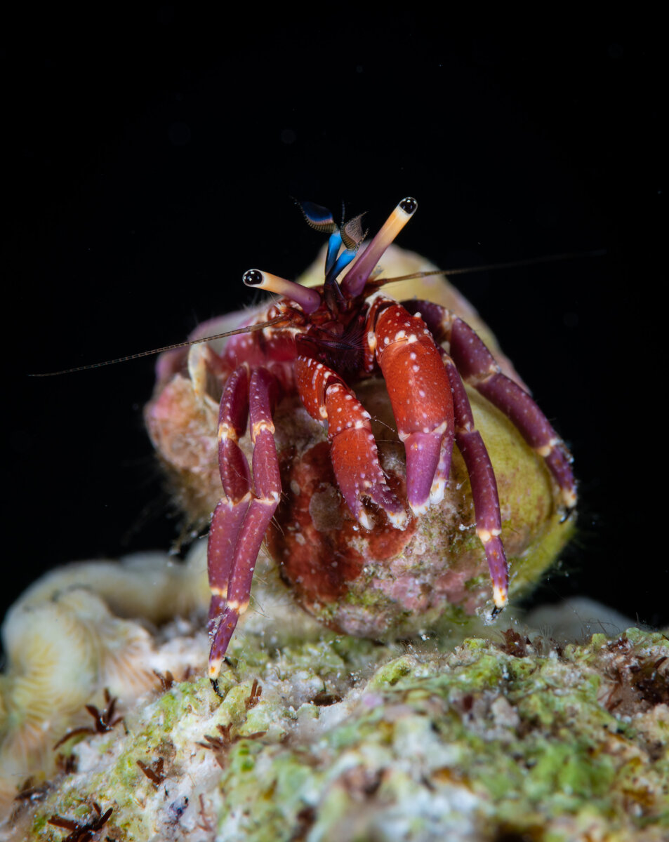 фото: Андрей Балта  