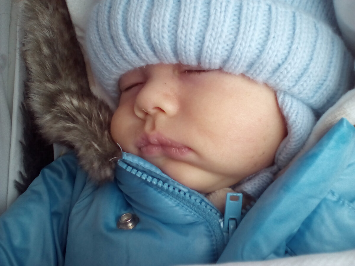 цветы жизни