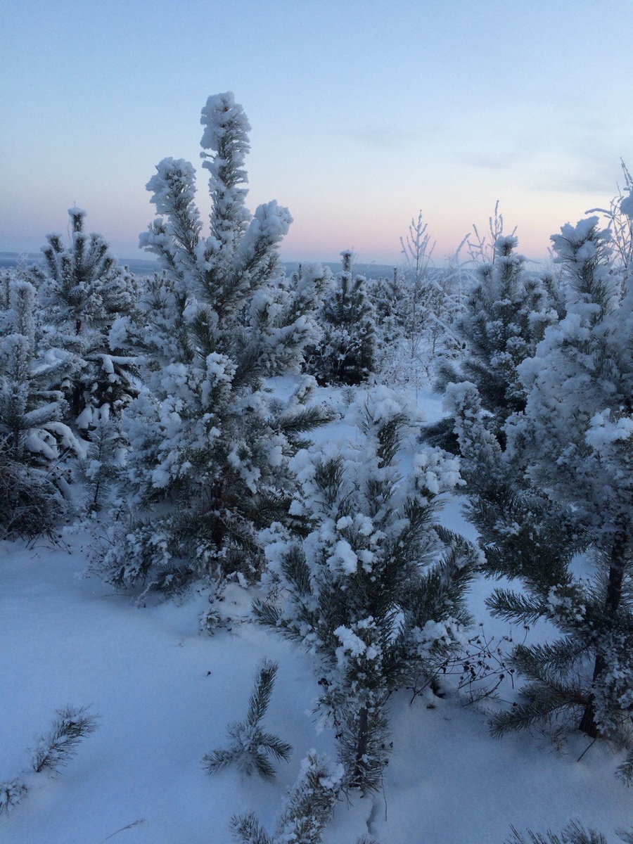Вид из окна моего дома
