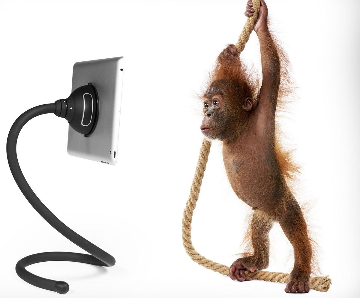 фото из открытого источника сети Интернет