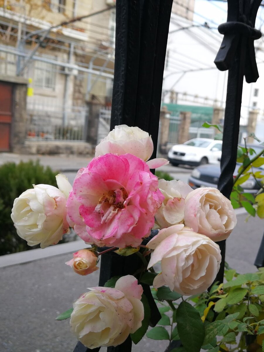 Совсем не похоже, что зима