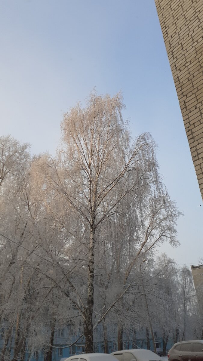 Суббота. 12.12.2020. Казань