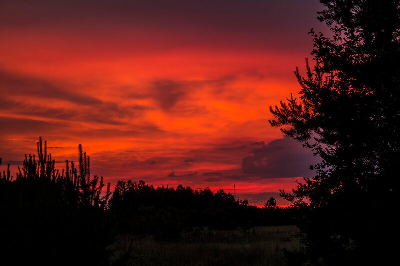 Рассвет сменит алый закат. Багровый закат. Красный закат над лесом. Багряный лес на закате. Багровый закат в поле.