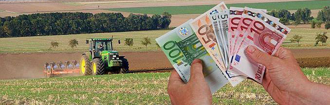 Поэтапный отказ от субсидий ЕС после Brexit был выделен как ключевой фактор