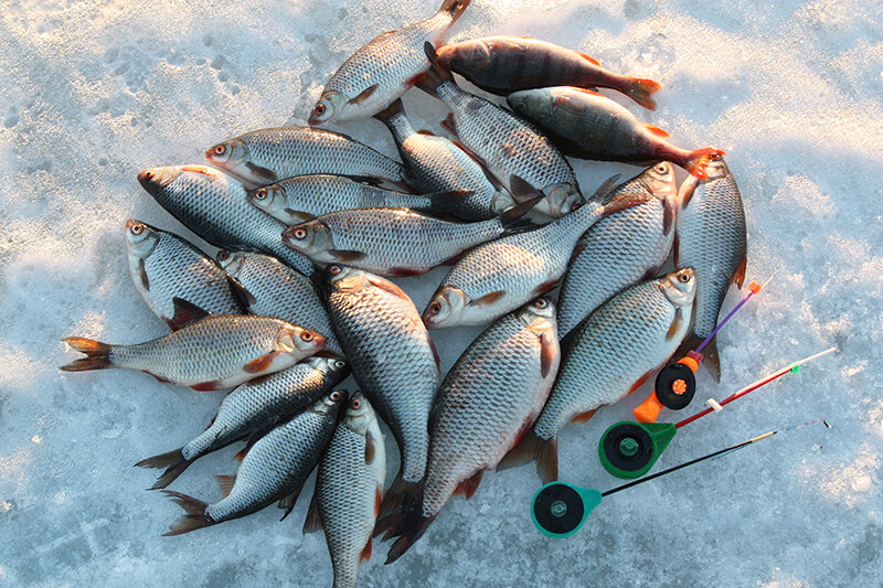 фото автора © Дмитрий Куксин