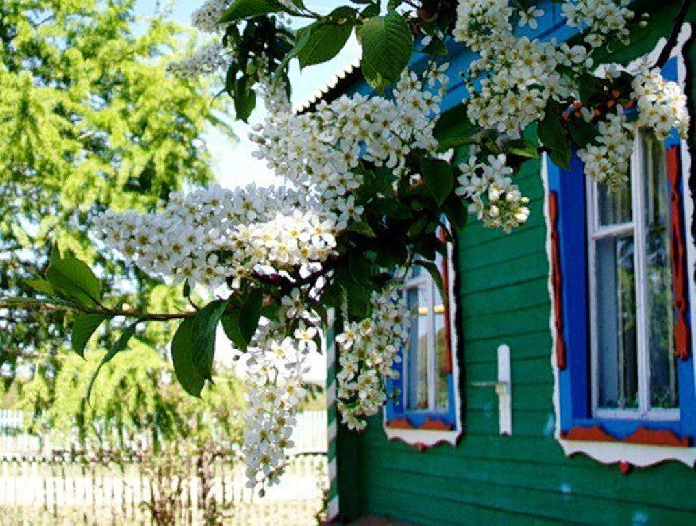 Дом в деревне весной фото