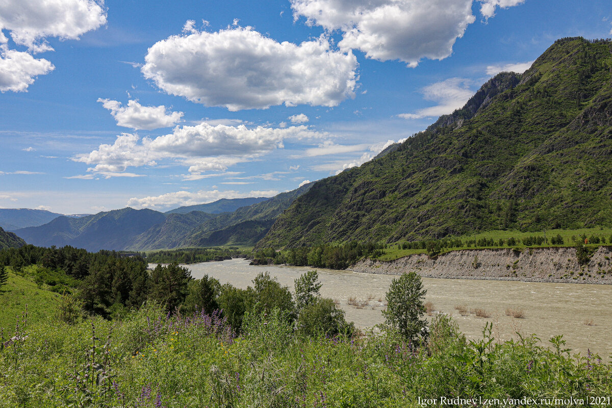 Буквы алтайского алфавита, произнести которые будет под силу не каждому ...
