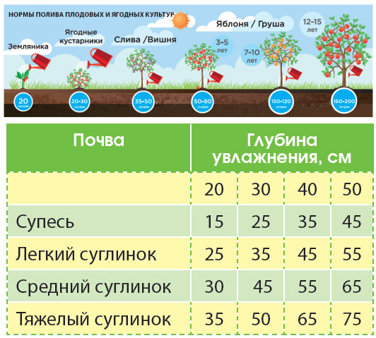 Можно ли поливать картошку холодной водой из колодца