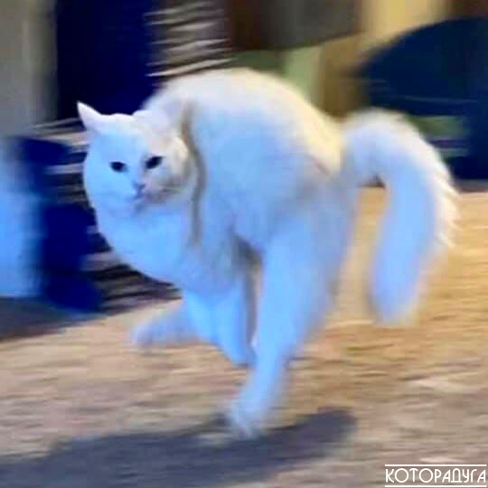 Источник: reddit.com