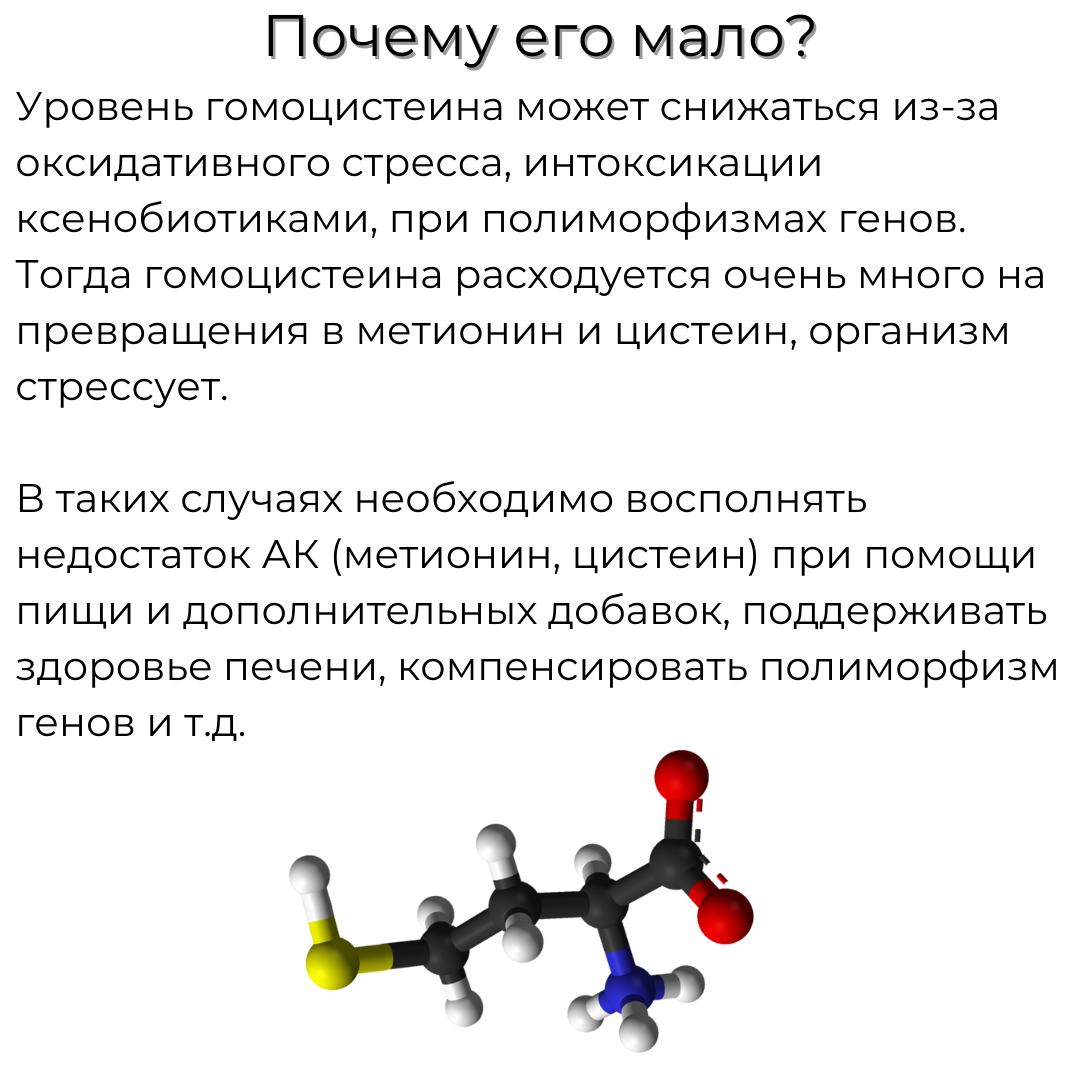 Гомоцистеин анализ