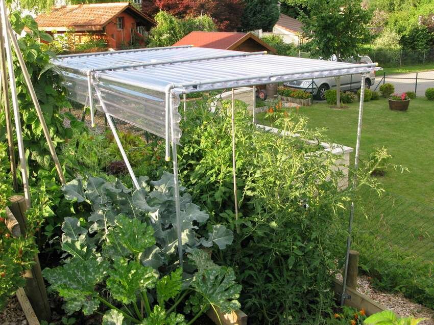 Фото из интернета