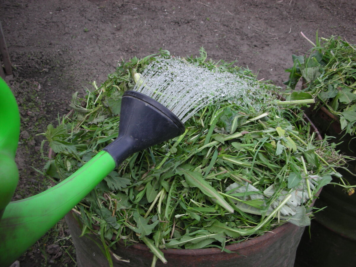 Фото автора статьи