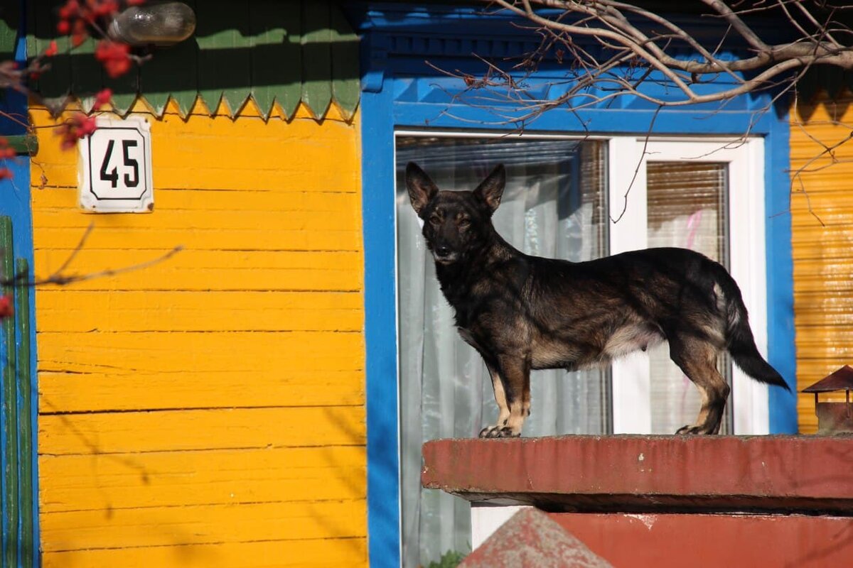 Фото Никита Петровский, Intex-press