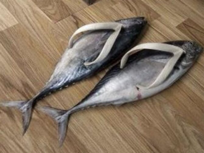 Это сланцы. https://shop-behappy.ru/v-den-rozhdenya/shutochnye-podarki-na-den-rozhdeniya.html