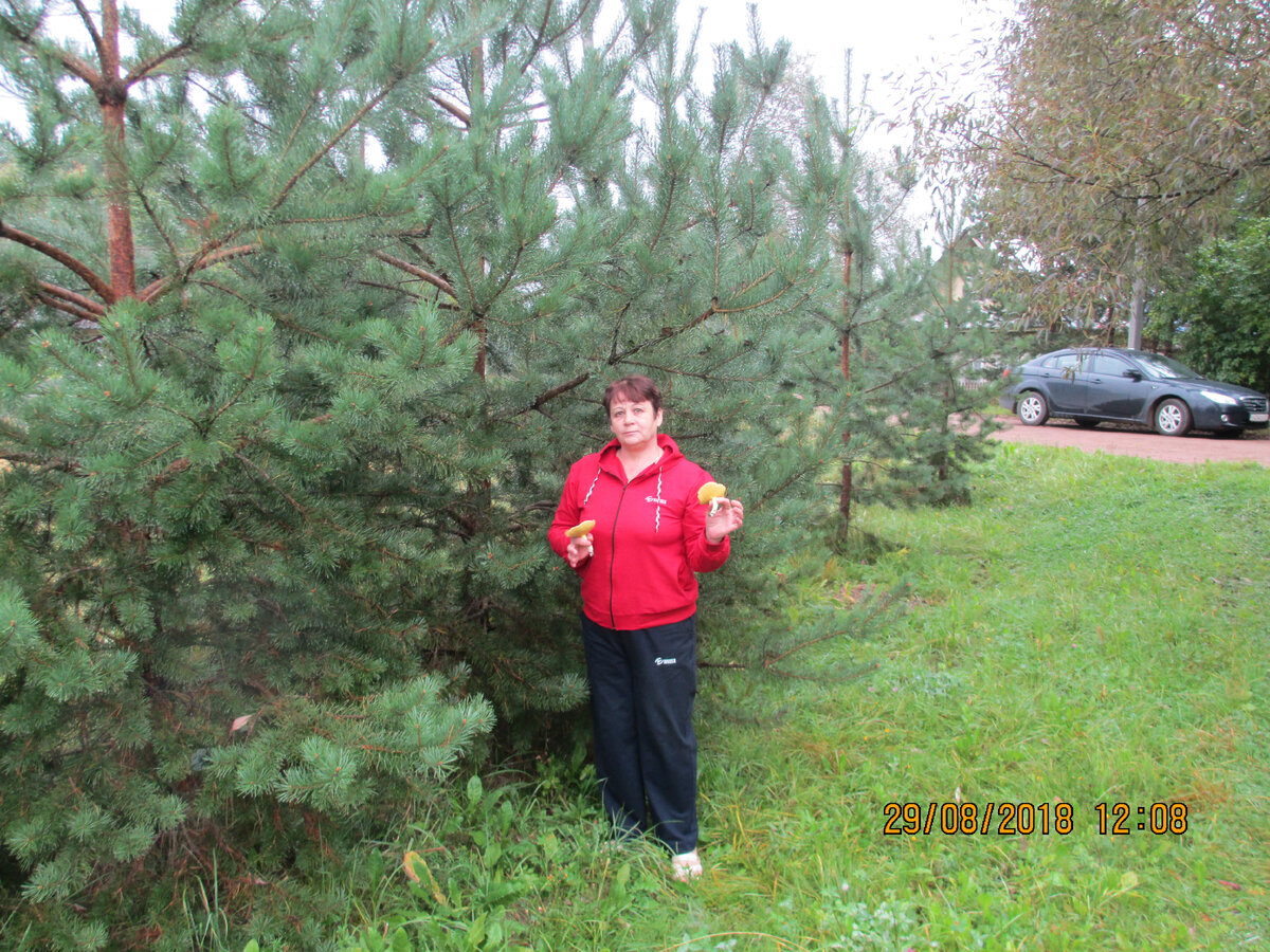 Есть! Пошли маслята