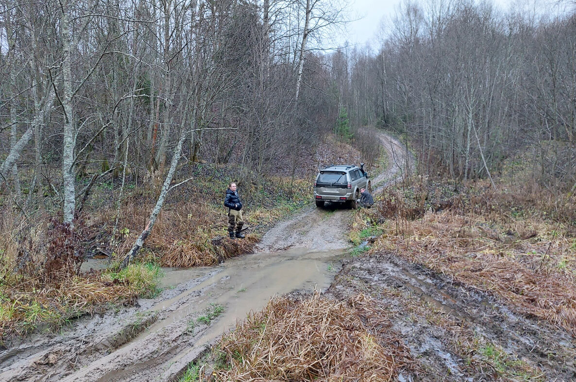 Кострома. Возвращение в Чухломские края. Рассказ второй. | Тропами Руси |  Дзен