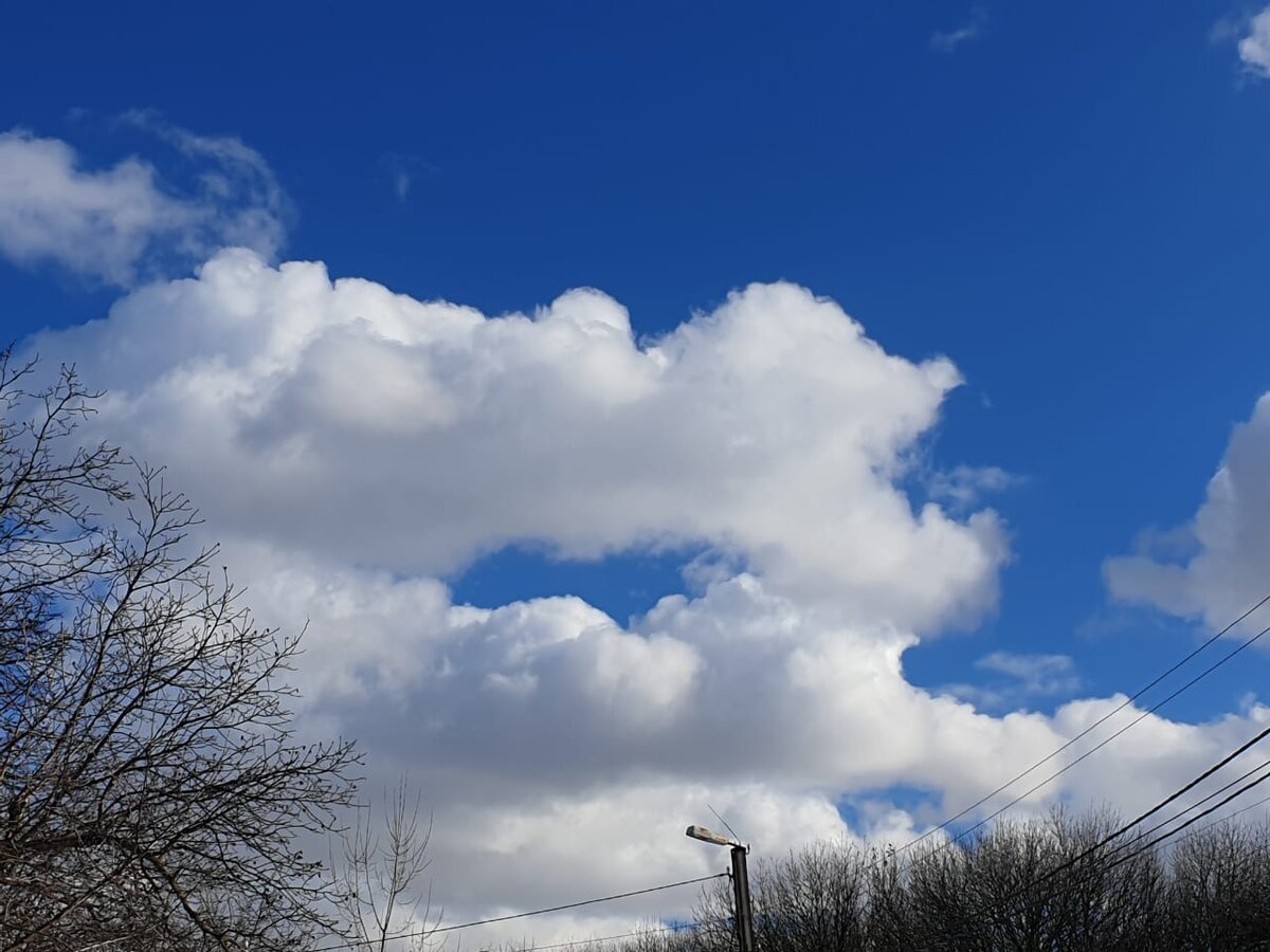 Фото Елены Лабо