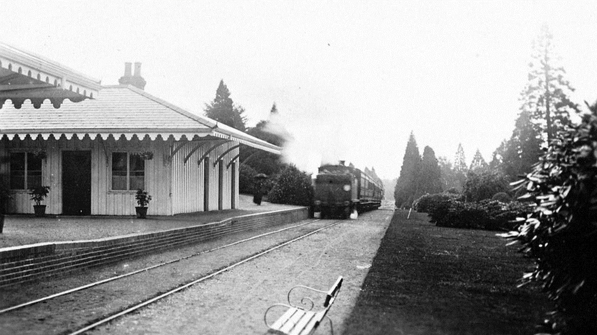 Железнодорожный поезд приближается к Бруквудскому кладбищу. Источник:  John Clarke