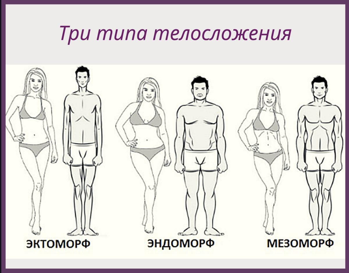 Виды фигур человека. Астеник (эктоморф). Типы сложения тела. Типы телосложения у женщин.